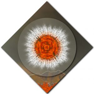 Safeguarding Poppies Mandala – Diamond Orientation