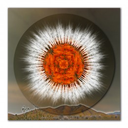 Safeguarding Poppies Mandala – 2