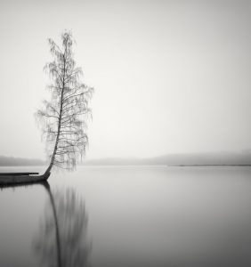 Peaceful Morning at the Lake, Sweden
