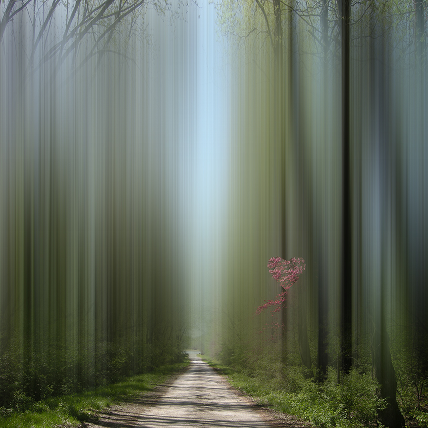 A Declalration of Love