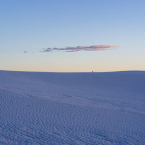 And Then There Was One