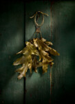 Autumn Leaves and Door