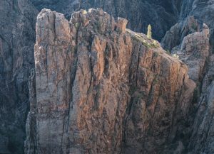 Massif with Lone Tree