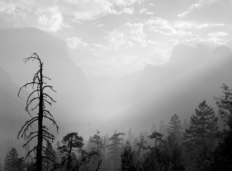Morning Mist, Valley View, Yosemite
