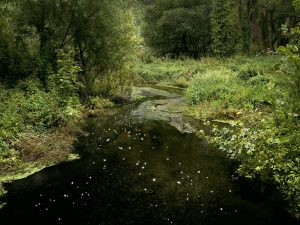Chalk Streams 10
