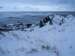 Snow Covered Shoreline, Iceland