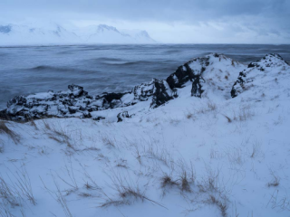 Snow Covered Shoreline, Iceland