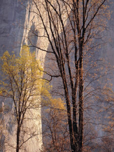Morning Light, El Capitan