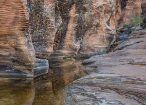 Side Canyon, Zion National Park