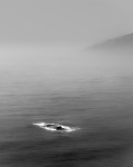 A Layer of Fog, Big Sur