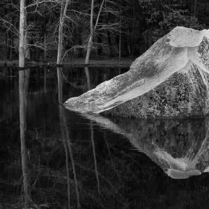 Boulder and Three Trees