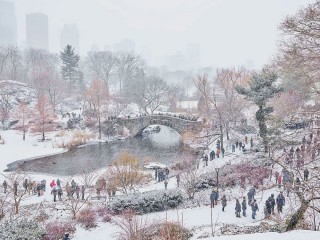 December Snow, Central Park, NY