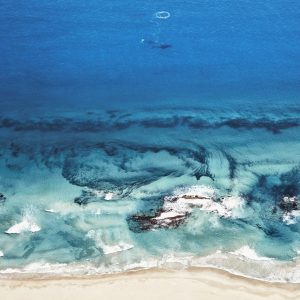 Humpback Whales, Kalbari, Western Australia