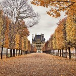Red Leaves, Paris, France
