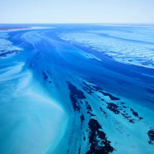 Shark Bay (Square 1), Australia