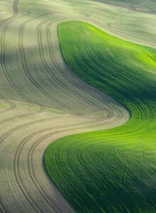 The Palouse Near Moscow, Idaho
