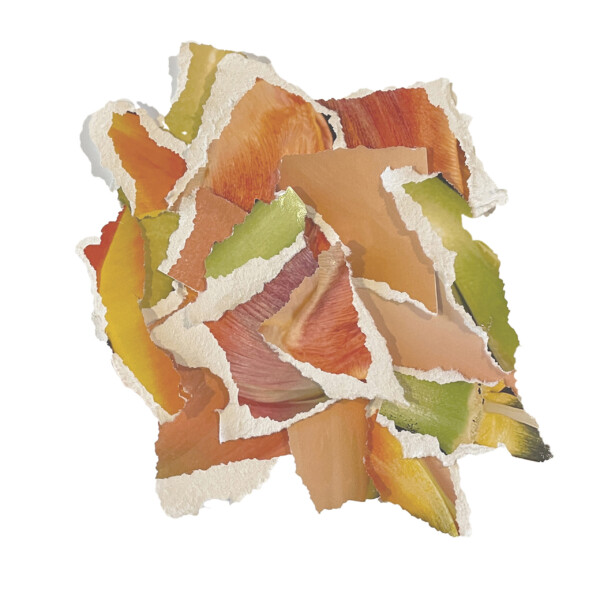 Deconstruciton VI