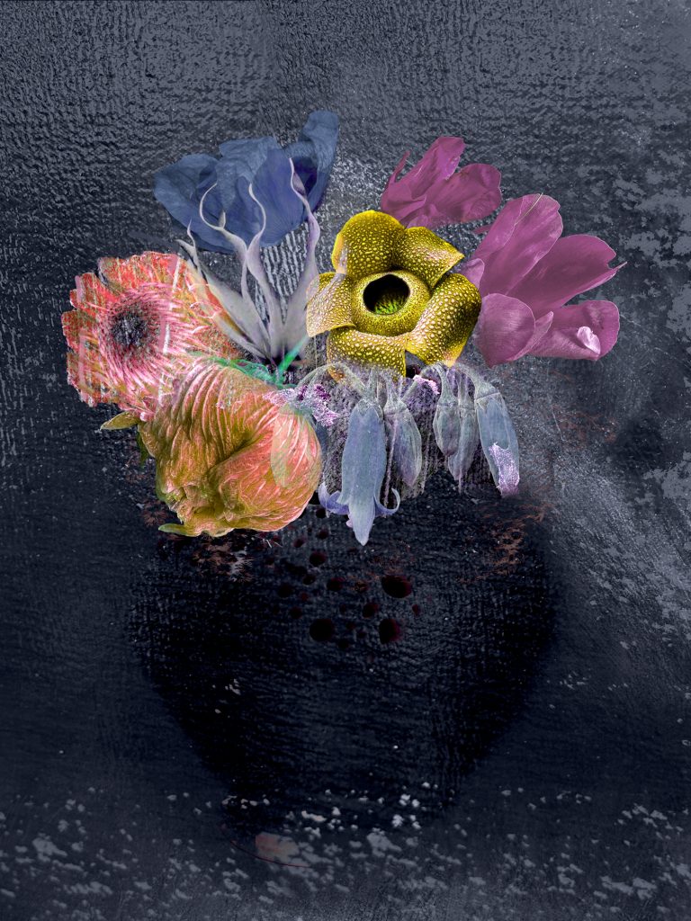 Existential Still Lifes 05