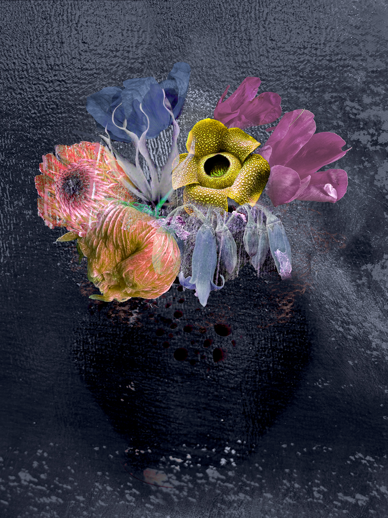 Existential Still Lifes 05