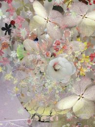 Existential Still Lifes 12