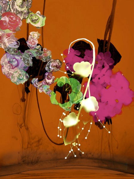 Flowers 20