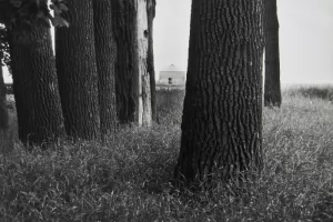 Farm Ralph D. Johnson, Casselton