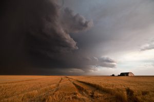 Birth of a Monster 18:35 CST, Gurley, NE