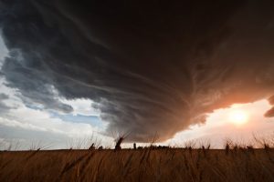 Lovely Monster with Wheat 19:15 CST, Lodgepole, NE