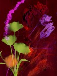 Flowers II 17