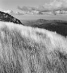 Grass & Mt. Cobbler, Viictoria, Australia