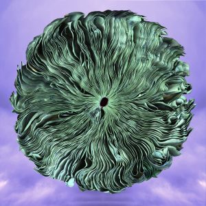 Green Earth, New Sky