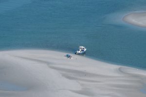 Beach Picnic with Seagulls near Point Judith