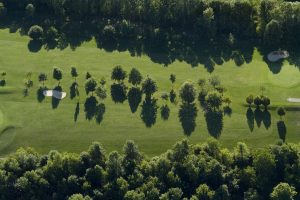 Three Tree Lines, near Sodus, NY