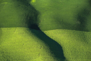 Oats and Rye, The Palouse