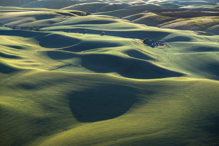 Undulating Grainfields, The Palouse