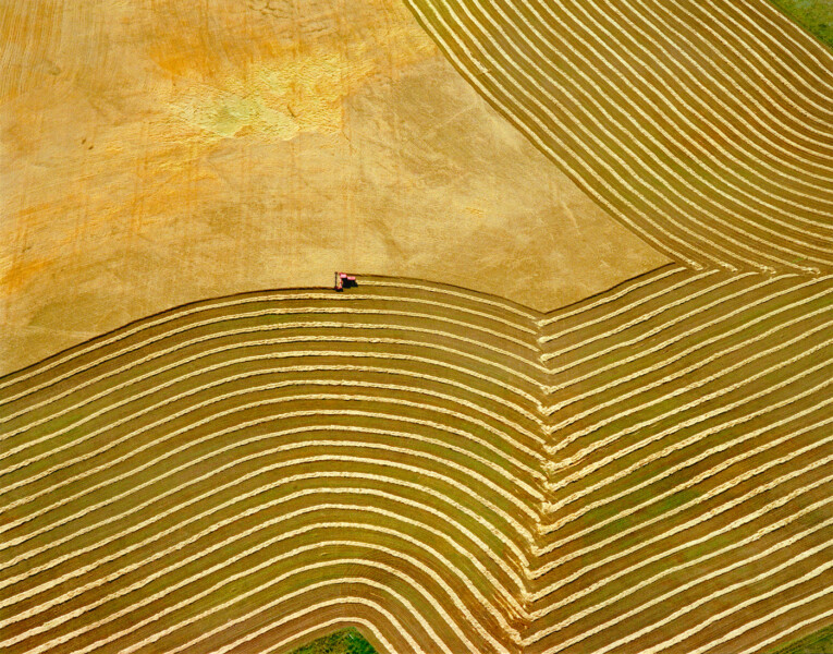 Wheatfields and Tractor near Yankton, Montana