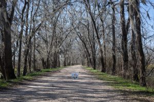 December 22, Spillway