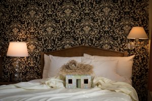 October 18, Lafayette