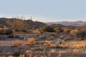 June 4, Yucca Valley