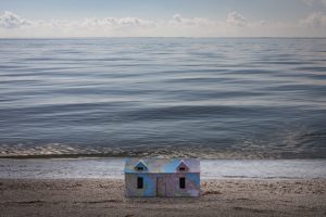 November 10, Terra Ceia