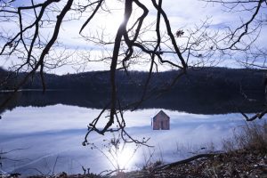 November 23, Forget Me Not