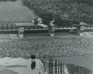 Man Asleep on Park Bench with Pigeon & Puddle, NYC