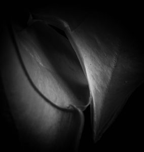 The Edge of Simplicity II