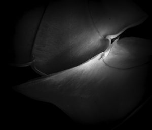 The Edge of Simplicity III