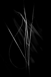 The Edge of Simplicity V