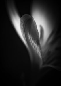 The Edge of Simplicity IV