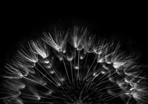 The Edge of Simplicity IX