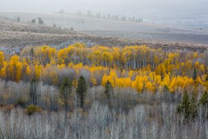 Last Light, Conway Summit, CA