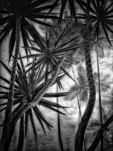 In the Garden at Chislehurst #7126