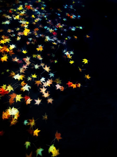 We Are Stardust, We Are Golden 2